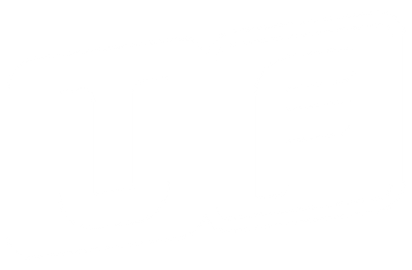 Ultimate Fan